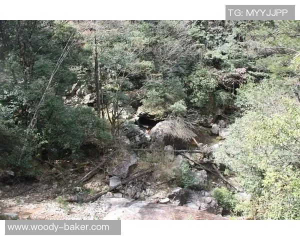 吴静独家分享攀岩心得与技巧助你轻松征服高峰 吴静独家分享攀岩心得与技巧助你轻松征服高峰