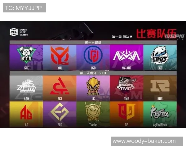 和平精英焦点分析:TES战队近期状态与未来发展趋势探讨 和平精英焦点分析:TES战队近期状态与未来发展趋势探讨