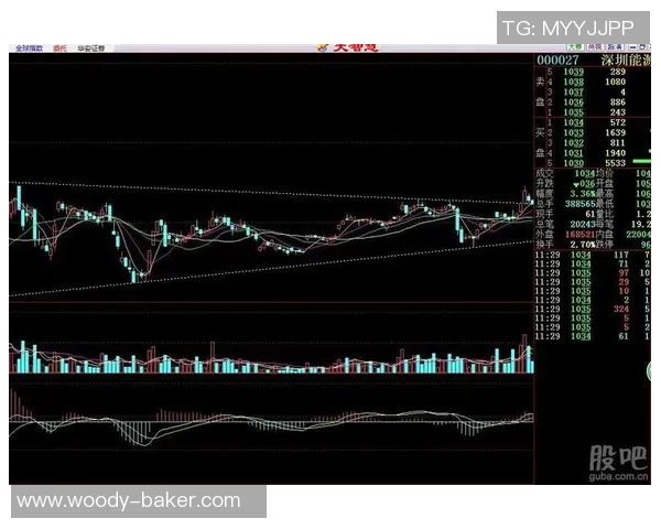 深圳排球队中路突破战术解析与未来发展展望
